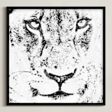 "mr LION" - Art Print in black and white by Gail Schechter - Framed