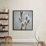 "Fuzzy Catkins" - Art Print in Could grey by Johanna Phillips Huuva - In a Room