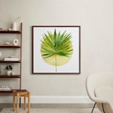 "spotlight - fan palm" - Art Print in palm frond by Kiana Lee - In a Room