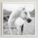 "Field Horse" - Art Print in Black and White by Natalie Uprichard - Framed