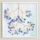 "Glorious Berries" - Art Print in Blueberry by Amelia Gluba - Framed