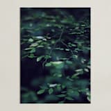 "Forest Focus" - Art Print in Deep Blue-Green by Satpreet K - Unframed
