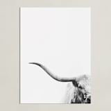 "Brandir" - Art Print in Charcoal by Amy Carroll - Unframed