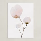 "Mokuren03" - Art Print in Pale Pink by jinseikou - Unframed