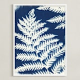 "Dryopteris arguta" - Art Print in Prussian Blue by raven erebus - Framed