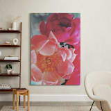 "Vintage Peonies" - Art Print in peachy pinks by HafnHafStudio - In a Room