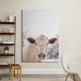 "moo cow" - Art Print in Burlap by Emily Gilbert - In a Room