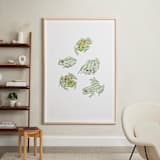 "Frog sketches" - Art Print in Pastel Green by Catilustre - In a Room