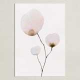 "Mokuren03" - Art Print in Pale Pink by jinseikou - Unframed