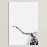 "Brandir" - Art Print in Charcoal by Amy Carroll - Unframed