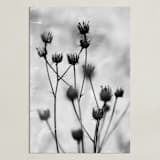 "Autumn detail" - Art Print in Fog by Magdalena Kucova - Unframed