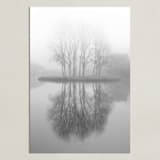"Real Reflections" - Art Print in Mist by Massimiliano Massimo Borelli - Unframed