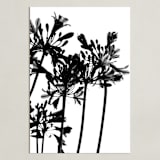 "High Drama" - Art Print in Black and White by Nadia Hassan - Unframed