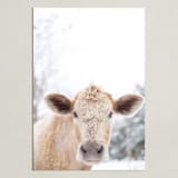 "moo cow" - Art Print in Burlap by Emily Gilbert - Unframed