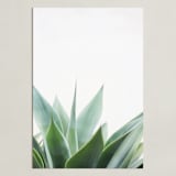 "Balboa Park" - Art Print in Sage by Ester M Nersisyan - Unframed