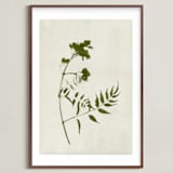 "Foraged I" - Art Print in Verdant by Kamala Nahas - Framed