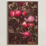 "Apple Season" - Art Print in Ripe Red by Justine Bicknell - Framed