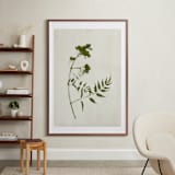 "Foraged I" - Art Print in Verdant by Kamala Nahas - In a Room