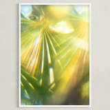 "Palm Fronds" - Art Print in Palm green by Tommy Kwak - Framed