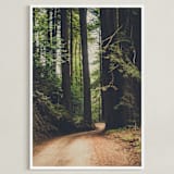 "Walk Into the Woods" - Art Print in Forest Brown by Bente Jorgensen-Barajas - Framed