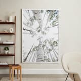 "Aspens at Altitude" - Art Print in Wonderfully White by Kaleb Nimz - In a Room