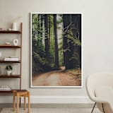 "Walk Into the Woods" - Art Print in Forest Brown by Bente Jorgensen-Barajas - In a Room