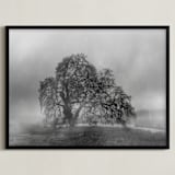 "in the rain" - Art Print in Stormy by Crystal Lynn Collins - Framed