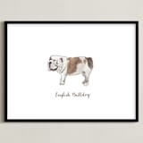 "English Bulldog" - Art Print in Brown by Megan Kelso - Framed