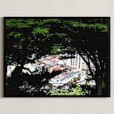 "San Francisco Tree View" - Art Print in Tree Black by Jeff Preuss - Framed