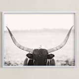 "Staredown" - Art Print in White by Amy Carroll - Framed