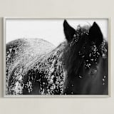 "A Shadow In A Storm" - Art Print in Black and White by Leslie Le Coq - Framed