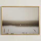 "Fragile equilibrium" - Art Print in Wetland by Lucia Coppola - Framed