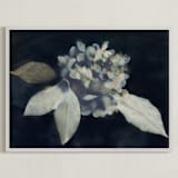 "Hortensia" - Art Print in Midnight by Courtney Crane - Framed