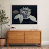 "Hortensia" - Art Print in Midnight by Courtney Crane - In a Room