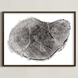 "Tree Rings pt. 1" - Art Print in Black by Mackenzie Darrach - Framed