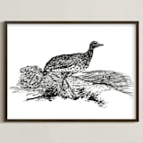 "Bewick's Little Bustard" - Art Print in Deep Black by Edward Walker - Framed