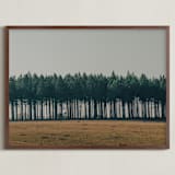"Moody Trees" - Art Print in Pine by Zani van Zyl - Framed