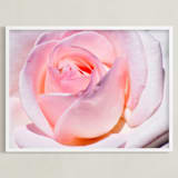 "Internal light" - Art Print in Rosy pink by NSMARK - Framed
