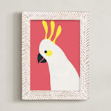"Hello Cocky! " - Art Print in Coral by Catherine Culvenor - Framed