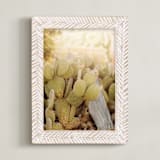 "Prickly Pear" - Art Print in Cacti Green by Hollie Renner Photography - Framed