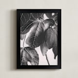 "Gather & Gaze" - Art Print in Matte Black by Alicia Youngken - Framed