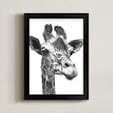 "Giraffe" - Art Print in graphite by Jerry Winick - Framed
