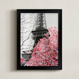 "Paris in Bloom" - Art Print in B&W and Pink by Katrina Leandro - Framed
