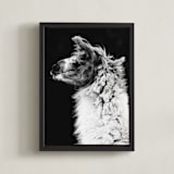 "Kai" - Art Print in Black White by Amy Carroll - Framed Canvas