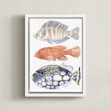 "Three Fish" - Art Print in tangerine by Natalie Groves - Framed Canvas