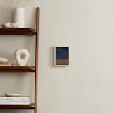 "Midnight in My Garden 2" - Art Print in Midnight Blue by Alicia Abla - In a Room