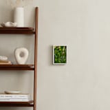 "A View in Green" - Art Print in Forest Green by Michael Hovitch - In a Room