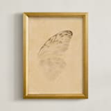 "Vintage Mariposa II" - Art Print in Vintage Ivory by jinseikou - Framed