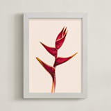 "heliconia 3" - Art Print in Heliconia by Kamala Nahas - Framed