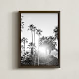 "Sunflare Palms" - Art Print in Flare by Jamie Lollback - Framed